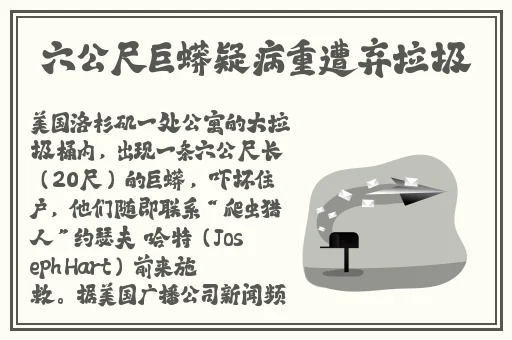 苍井空全集